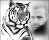 Benutzer Avatar